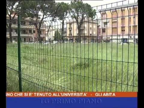 Primo Piano ore 19:15