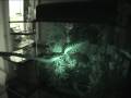 videos de Carpet Python Night Vision Hunt  & Habitat Tour