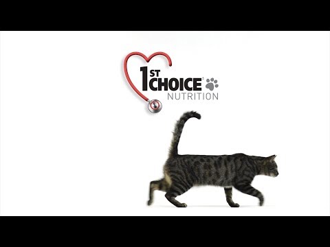 1ST CHOICE CAT ADULT STERILIZED 2.4kg 4bags/outer  