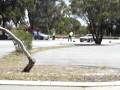 videos de MOV02900.MPG