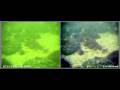 videos de VideoRay Side-by-side Comparison with LYYN Video Enhancement