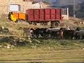 Las cabras del pedro