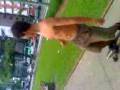 videos de 21-11-08_1549.3gp
