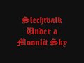slechtvalk's song from 