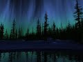 Slechtvalk- Under a Moonlit Sky