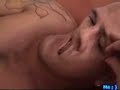 voll assi toni