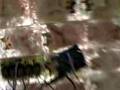 Reorient-Migrating-A