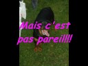 Depart de Sangha