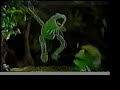 classic sesame street   disco frog