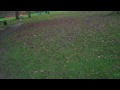 P2 OF 2 MATTS WALK IN THE PARK.mpg