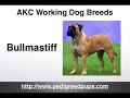AKC Working Dog Breeds - Working Dogs