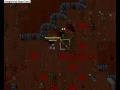 Tibia Pk