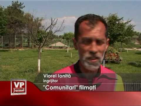 Comunitari filmaţi