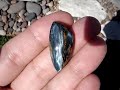 Pietersite Cabochon #2