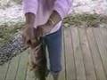 My Grandma`s Bass