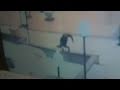 CNN: 'The Fountain Lady', Cathy Cruz Marrero who fell in a fountain while texting gets lawyer