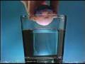 videos de Spit Balls Toy Commercial