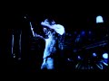 Nebelwald Live