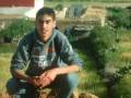 videos de hafhaf  mafia de nador