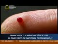 viaje al interior del cuerpo humano