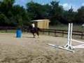videos de Heaven's Ridge Treasa (Tess)