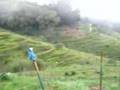 DALJEET INN Lower Himalayas