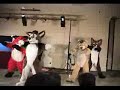 Awesome Fursuit dance Awesome Fursuit dance