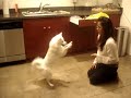 Talented Misha