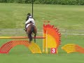 dreamscape farm is proud to present novalis. a proven jumper stallion, who is exceptionally well bred. novalis one of the few sons available from the legendary jus de pomme. jus de pomme was the double gold medal winner in show jumping at the 1996 atlanta olympics. he was the only horse to compete with no jumping faults. at the time of his death he had winnings of over $100,000.00. 

novalis's dam line is also equally as impressive his dam, is the ster preferent mare jacintha whose sire is g ramiro z. g ramiro z has been labeled the 'stallion of the century' and is once again listed as the #1 leading sire of jumpers, as well as the #20 leading sire for dressage horses as listed in the wbfsh international breeding guide 1999. novalis's granddam the preferent mare fantasia is a full sister to the dutch stallions 'wellington' and 'elberton'. 

the great grand sire is nimmerdor, was the 'kwpn stallion of the century 2000'. also in novalis' pedigree are primo de bruyeres #87, night and day #142, alme #31, farn #77, and lucky boy #69. 

novalis himself is a strong competitor in the jumper ring, having shown in north america and europe to grand prix- 1.5 meter under riders markus beerbaum, marc houtzager, and laura kraut. novalis competed at top shows against tough competition with excellent results. this year novalis returned to the show ring, winning the futures class at the thunderbird show park in may, he was the only horse out of 45 to go double clear. at the milner downs horse show he finished 4th is the $7000 grand prix. during the west coast classic show jumping tournament, novalis finished 4th is the $20,000 jaguar landrover of richmond grand prix. novalis was also presented and is now fully approved for breeding with the rpsi studbook 1, he received a '9' for his jump, and a '9' for his canter. 

novalis is a proven sire, whose oldest offspring are already winning in the show ring; they are athletic horses, with correct conformation, good temperaments and movement, with lots of scope and super canters.
www.dreamscapefarm.com
