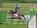 Novalis 1995 KWPN Stallion Sire Jus De Pomme