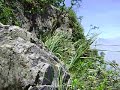 Cerro Mitras10