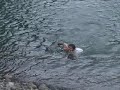 Pulo em águas de degelo Pulo em águas de degelo