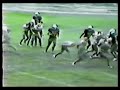 Pacelli HS Football Highlights - 1986