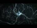 age.comunicações - ADD Neurônios