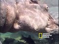 Hippo Spa Hippo Spa