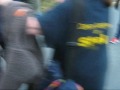 whose-cops.html