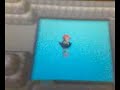 pokemon diamond/pearl   how to get and use pal park