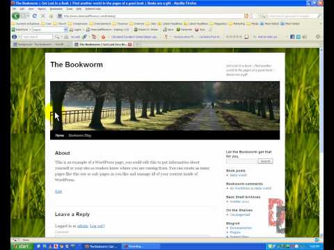WordPress Tutorial For Beginners Part 5 – Appearance Settings, Menus and Widgets