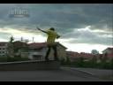Torro