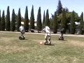 segway polo