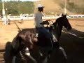 Mangalarga Marchador - Thor da Parahy no Espa�o do Cowboy