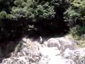 pulando da pedra pulando da pedra