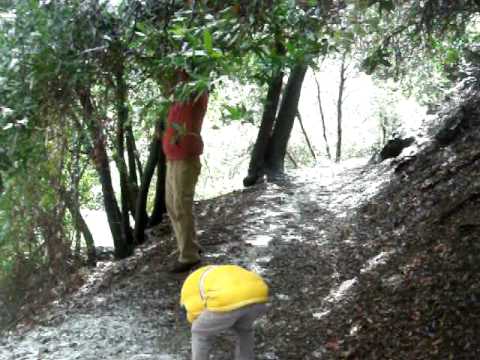 Trail to Rose Valley Falls, Los Padres National Forest, Ventura County, CA