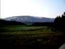 Moose and Coyote Song - Uintas