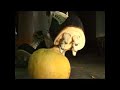 Fruit juicer revisited