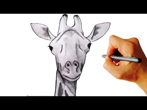 how to draw giraffe