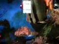 handfeeding a saltwater batfish