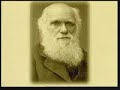 The Collapse of Revolution (5/7) -arabic version-  انهيار نظرية التطور وحقيقة الخلقVarious branches of science developed since the formulation of Darwinism have demonstrated that this theory is nothing but an imaginary scenario. This documentary examines this scientific collapse of Darwinism in three chapters: 1) The Origin of Life 2) Imaginary Mechanisms of Evolution 3) The Fossil Record Harun Yahya prominent Turkish intellectual (The works of Harun Yahya have been a means of intellectual awakening for many Muslims, and non-Muslims alike), www.harunyahya.comانهيار نظرية التطور وحقيقة الخلقيعتقد كثير من الناس أن نظرية داروين حقيقة علمية، غير أنّ العلم المعاصر أثبت أن هذه النظرية تعتبر أسطورة من أساطير القرن التاسع عشر. ومنذ ظهور نظرية التطور أثبتت العلوم المتطورة مثل الكيمياوية الحيوية وعلم الاحياء المجهرية، وعلم الوراثة وعلم الحفريات القديمة وعلم التشريح أنّ نظرية التطور ليست سوى سيناريو من نبع الخيال.أبطل العلم نظرية التطور، وفي الوقت نفسه أثبت المصدر الحقيقي للحياة: إنه الخلق! فجميع الكائنات خلقها الله تعالى دون خلل أو نقص، و لم تمر هذه الكائنات بأي شكل من أشكال التطور.هذا الفيلم يتكون من ثلاثة أقسام 1 نشأة الحياة 1 نشأة الحياة 2 الآليات الخيالية لنظرية التطور 3 السجلات الحفرية