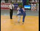 Judo Tre Torri 2008 - Brandel - Hilger Judo Tre Torri 2008 - Brandel - Hilger