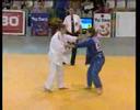Judo Tre Torri 2008 - Brandel - Hilger